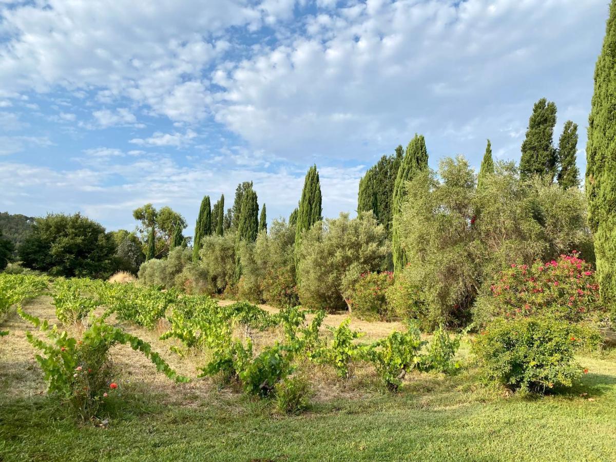 Bastide De Gueissard Bed & Breakfast Saint-Cyr-sur-Mer Exterior photo